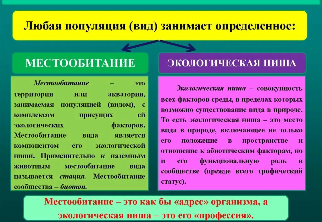 Место обитания и экологические ниши. Местообитание и экологическая ниша. Параметры экологической ниши. Экологическая ниша и место обитания различие.