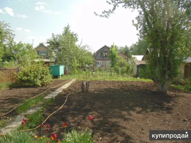 Купить дачу в родничке. Родничок Пенза. Садовое товарищество Родничок Пенза. Дача Родничок Пенза. Дача Пенза СНТ Родничок.