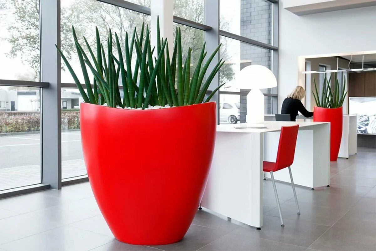 Кашпо cubico color. Lechuza cubico color 30. монстера lechuza. кашпо lechuza rondo кротон. lechuza cubico premium 40 красный в ташкенте.
