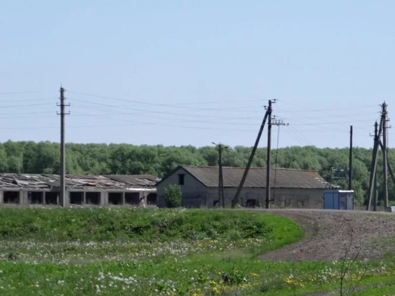 Погода село поселки. Куземкино Пензенская область Башмаковский район. Село Куземкино Шиловский район. С Атмис Нижнеломовского района Пензенской области. Знаменское Башмаковский район.