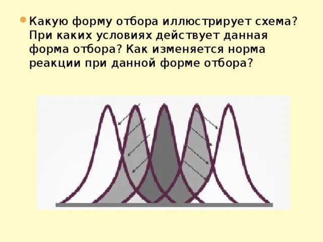 Пользуясь рисунком определите какую форму отбора. Формы естественного отбора дестабилизирующий схема. движущая форма естественного отбора норма реакции. норма реакции движущего отбора. примеры дестабилизирующего естественного отбора.