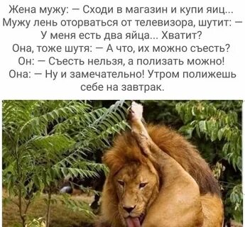 Смешные картинки до слез работа