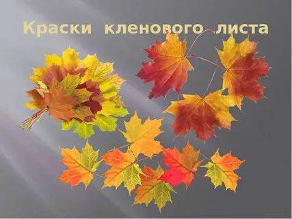 Осенние листья 2 класс литературное