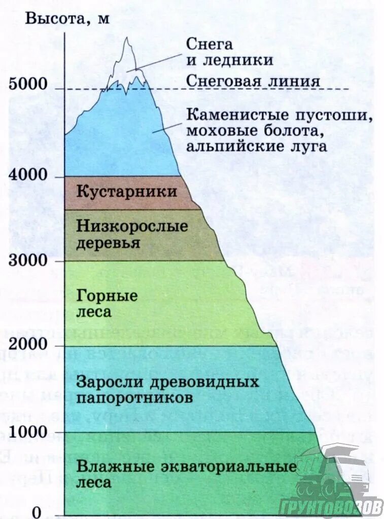 Объяснить различия структуры высотной поясности. Природные зоны ВЫСОТНОЙ поясности. Высотная поясность Гималаев. Высотная поясность уральских гор. Высотная поясность в горах Алтая.