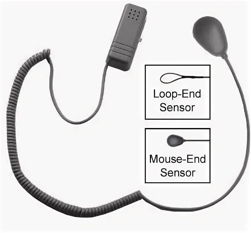 Sensor ended. Mouse in sensor.