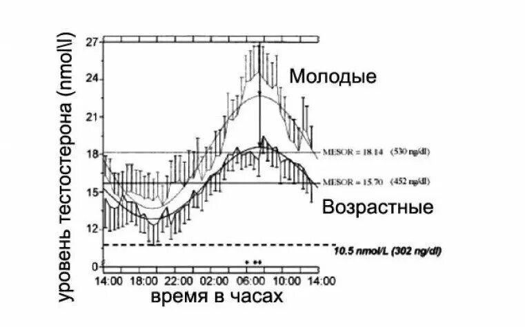 В какое время вырабатывается тестостерон. Циркадные ритмы выработки тестостерона. суточные колебания тестостерона. суточный график выработки тестостерона. суточный ритм секреции гормона роста.