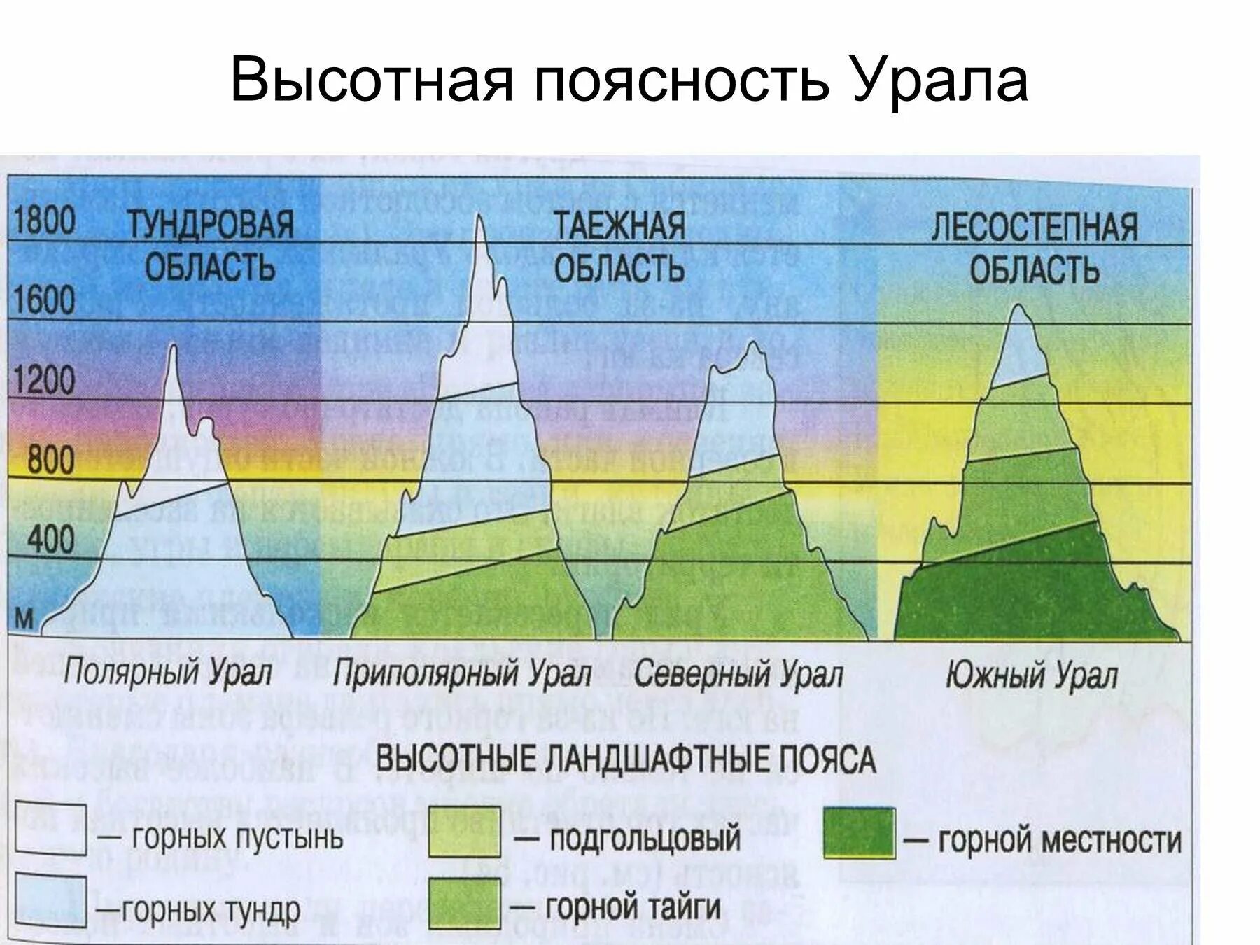 Природные пояса кавказских гор. Высотная поясность гор Урала. Природные зоны на Урале ВЫСОТНОЙ поясности. Высотная поясность гор Урала таблица. Схема ВЫСОТНОЙ поясности Урала.