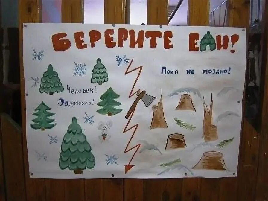 Берегите ели рисунки. Берегите ели рисунки