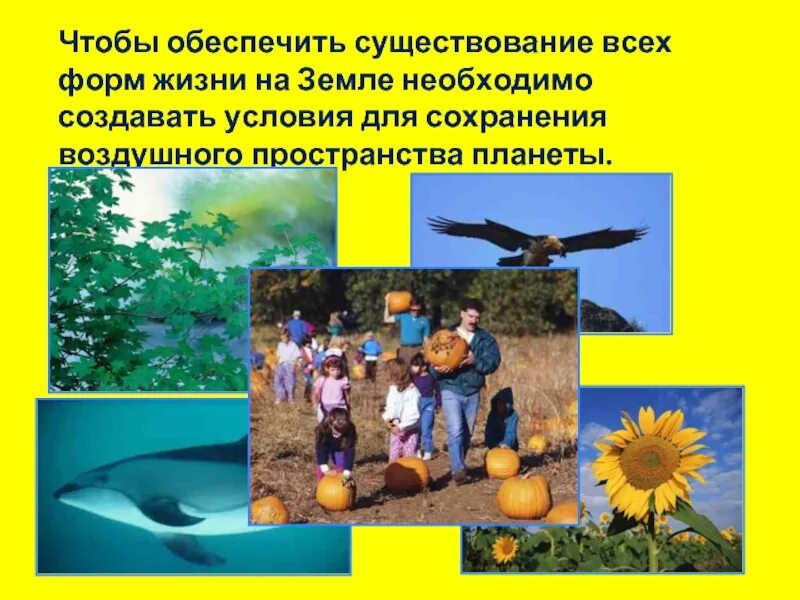 Без чего жизнь существование