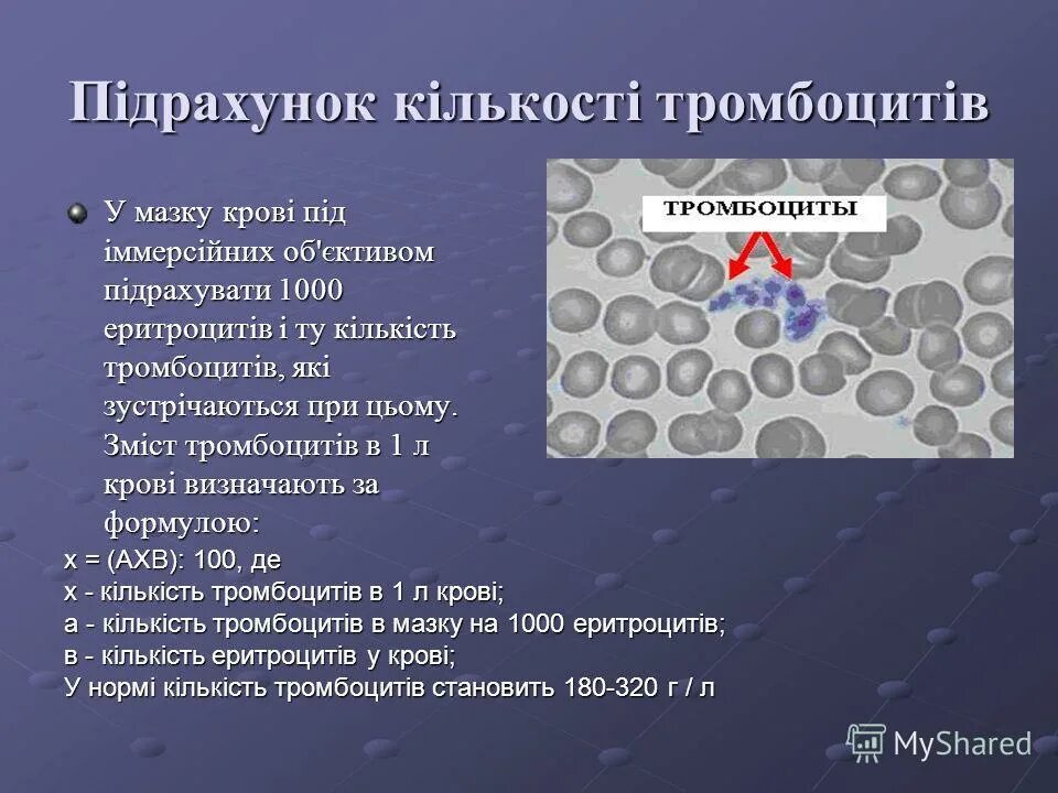 Фонио методика тромбоциты. Метод подсчета тромбоцитов по Фонио. Как посчитать тромбоциты по Фонио. Подсчет тромбоцитов по Фонио в мазке. Гранулы тромбоцитов содержат