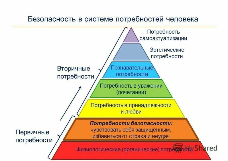 Какие потребности человек при посещении учреждений культуры