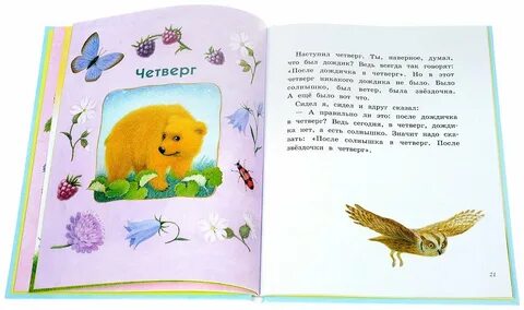 Дневник медвежонка