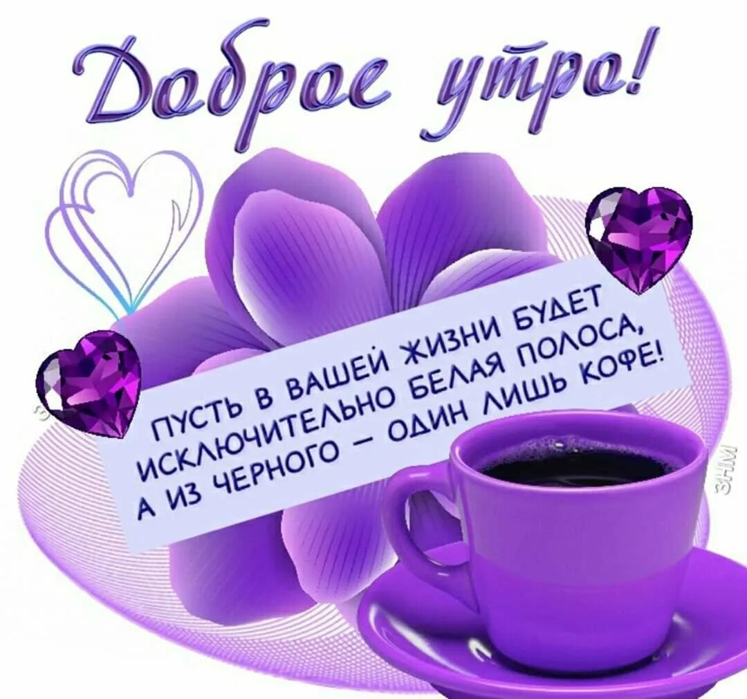 Желаю утра дорогому. Доброе утро необычные пожелания. Доброе утро душевные пожелания. Оригинальные пожелания с добрым утром. Стильные пожелания с добрым утром.