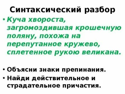 Анализы поляны 5