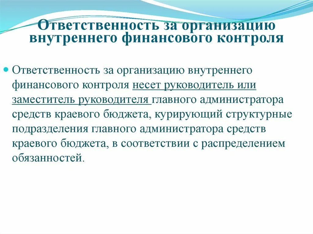 Ответственность внутреннего контроля. Организация внутреннего финансового контроля. Внутренний финансовый контроль. Внешний и внутренний финансовый контроль. Понятие внутреннего финансового контроля.