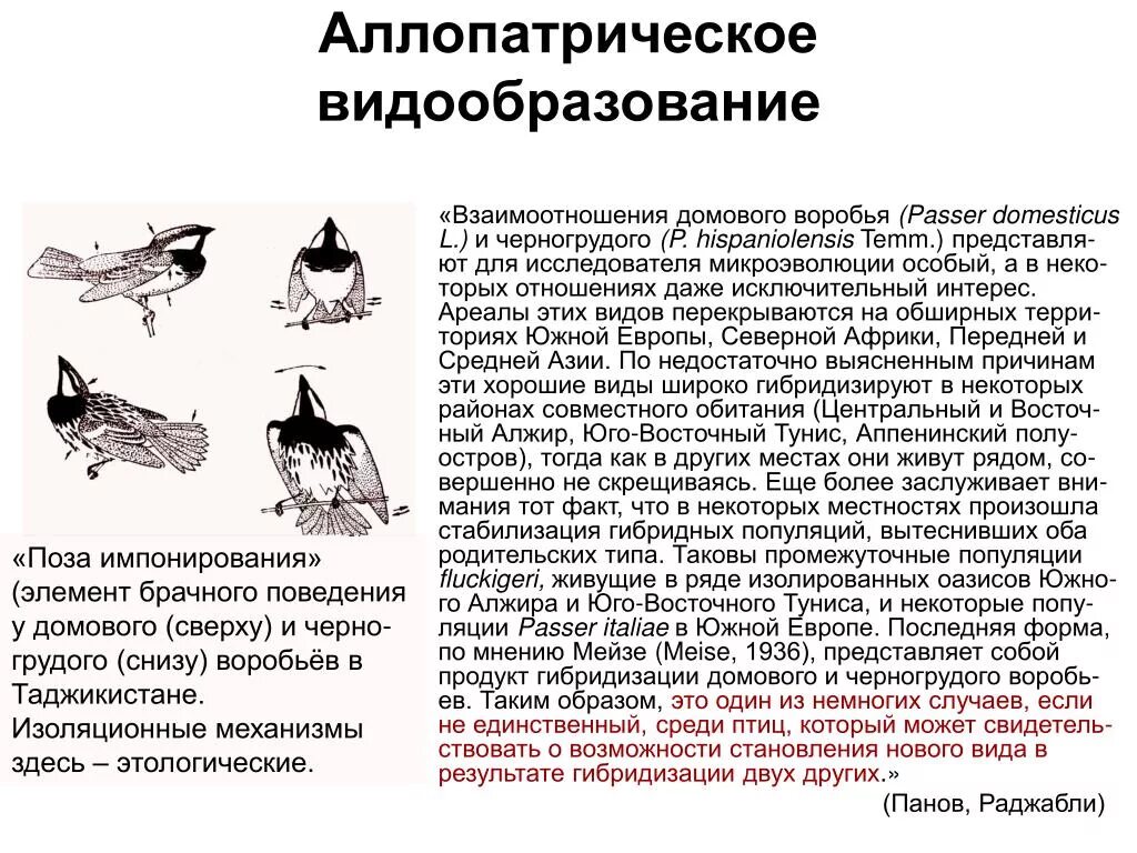 Аллопатрическая изоляция. Аллопатрическое видообразован е. Краткое описание аллопатрического видообразования. Аллопатрическое (географическое) видообразование. Формы аллопатрического видообразования.