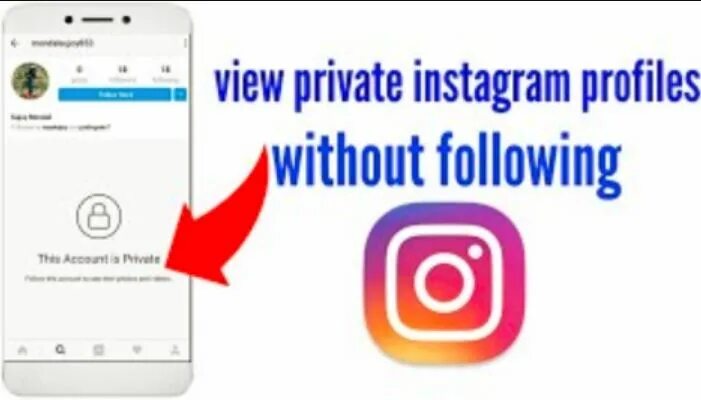 Instagram viewer. View instagram without account. instagram profile viewer. ig private. private profile.