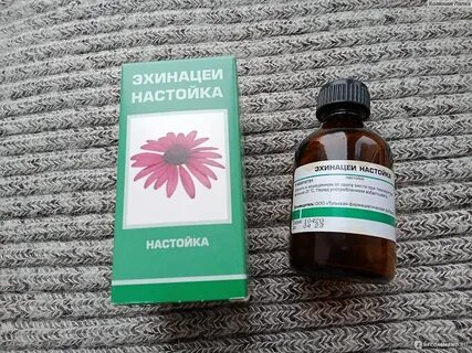 Эхинацея настойка для иммунитета отзывы