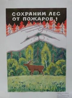 Тема берегите лес от пожара