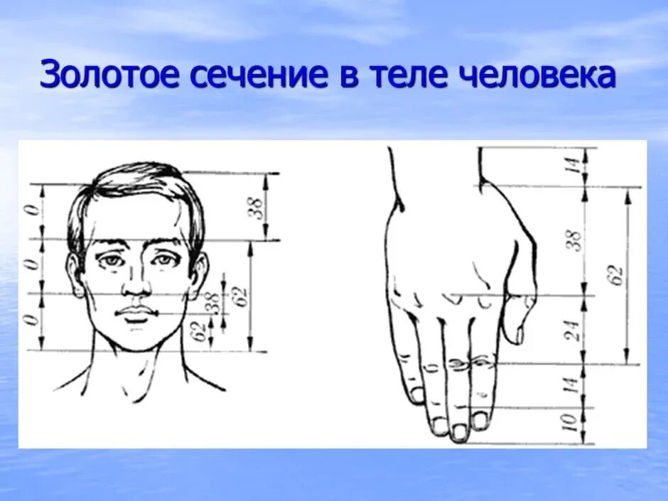 Сечение детей. Сечение детей. Пропорции тела ребенка до года по месяцам. Сечение детей. Пропорции детей по возрасту схема.