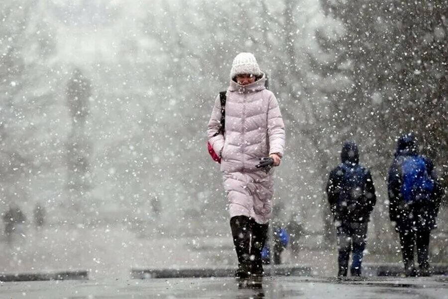 Ночью будет сильный снег. Много холодного снега. Strong snowing.