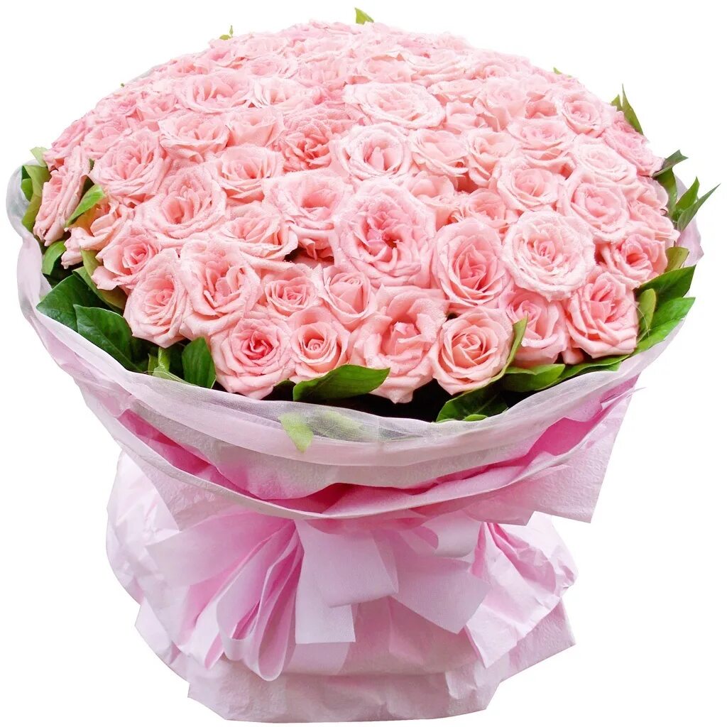 С днем рождения огромные розы. Красивый букет. Букет шикарный. Букет роз.