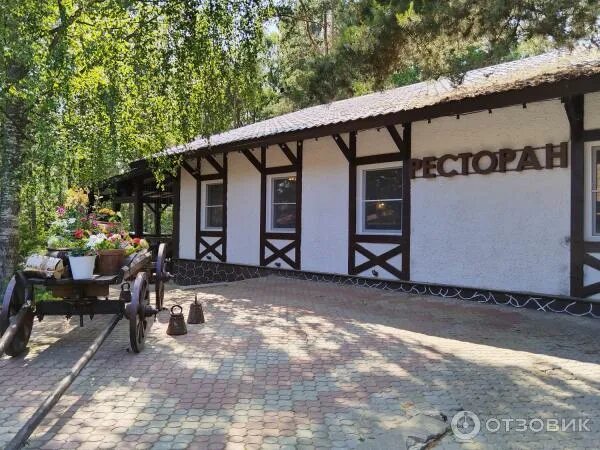 Добрый лось в лосево спа. Добрый лось в лосево спа