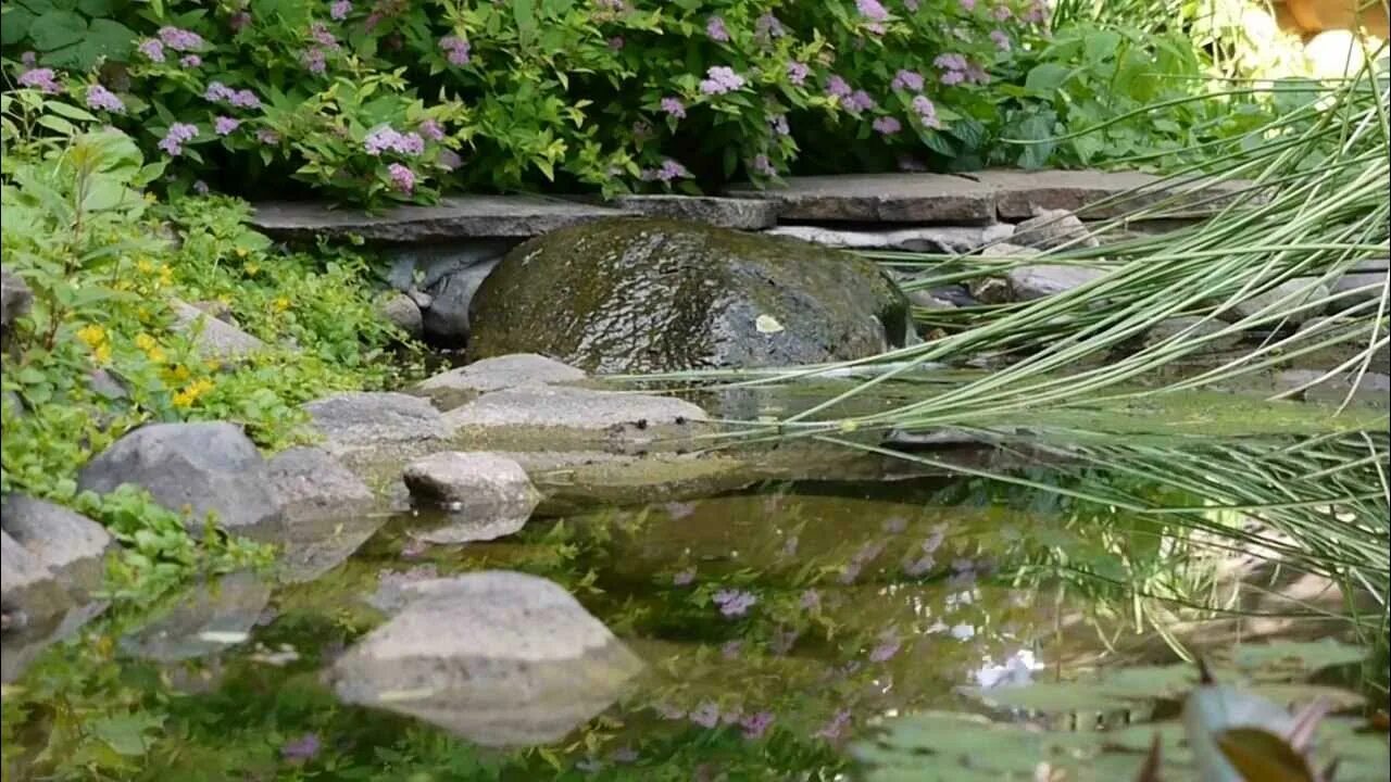 Журчит родник. Звук журчания ручья. Звуковой Ручеек. Звук ручейка. Звук воды ручей.