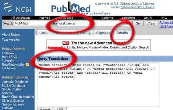 Pubmed articles. PUBMED логотип. База данных PUBMED. PMC PUBMED.