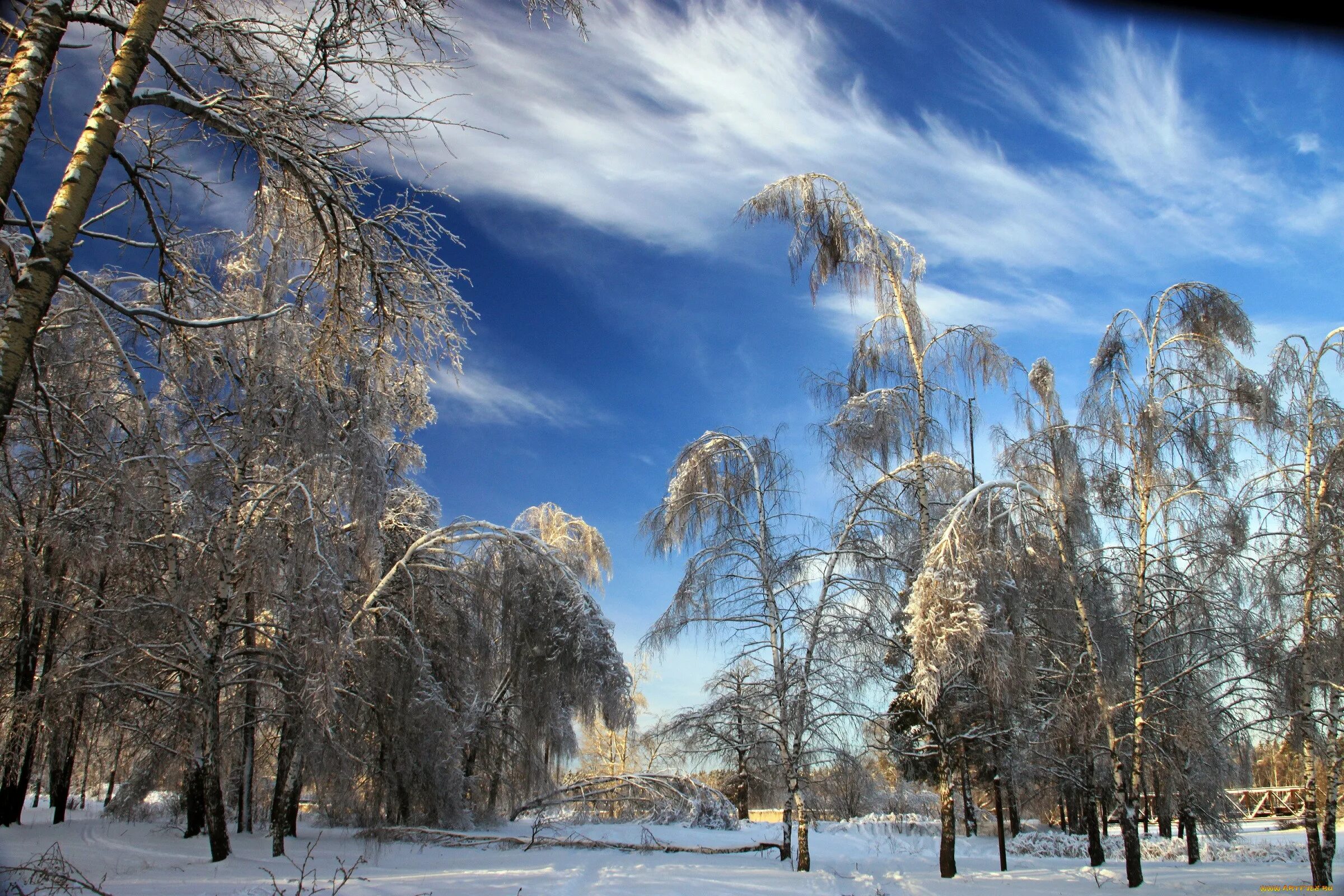 В каких городах теплые зимы