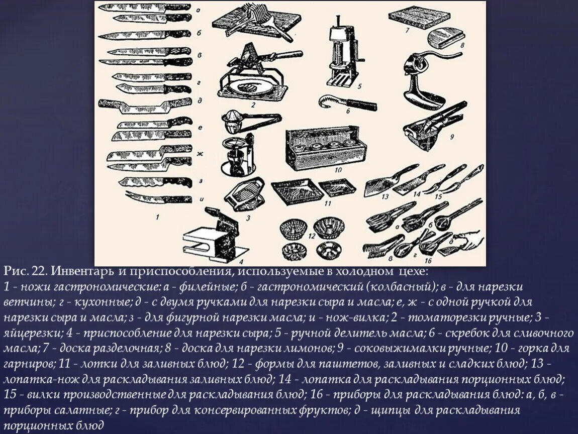 Виды назначения инвентаря. Оборудование и инвентарь холодного цеха таблица. Инструмент инвентарь приспособления посуда для холодного цеха. Холодный цех оборудование и инвентарь таблица. Посуда и инвентарь холодного цеха.