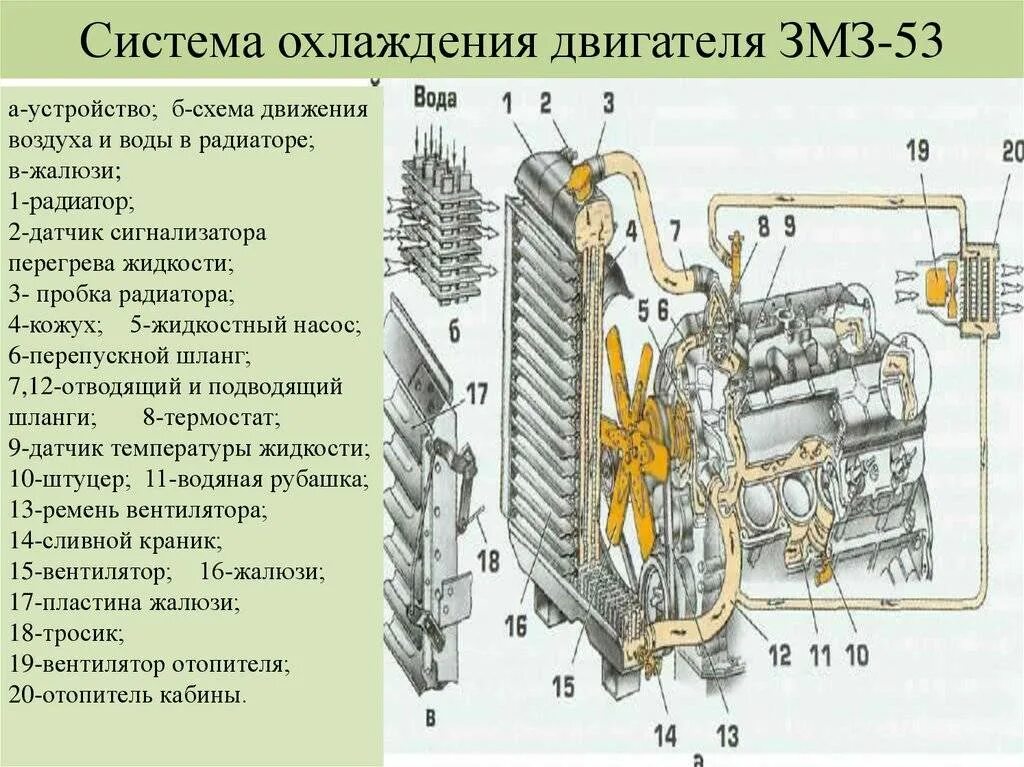 Устройство системы охлаждения двигателя ЗМЗ 53. Система охлаждения ЗМЗ 513. Общая схема системы охлаждения двигателя автомобиля. Устройство воздушной системы охлаждения двигателя. Система охлаждения дв