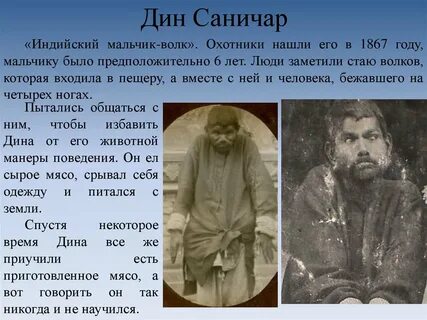 Маугли воспитанный волками