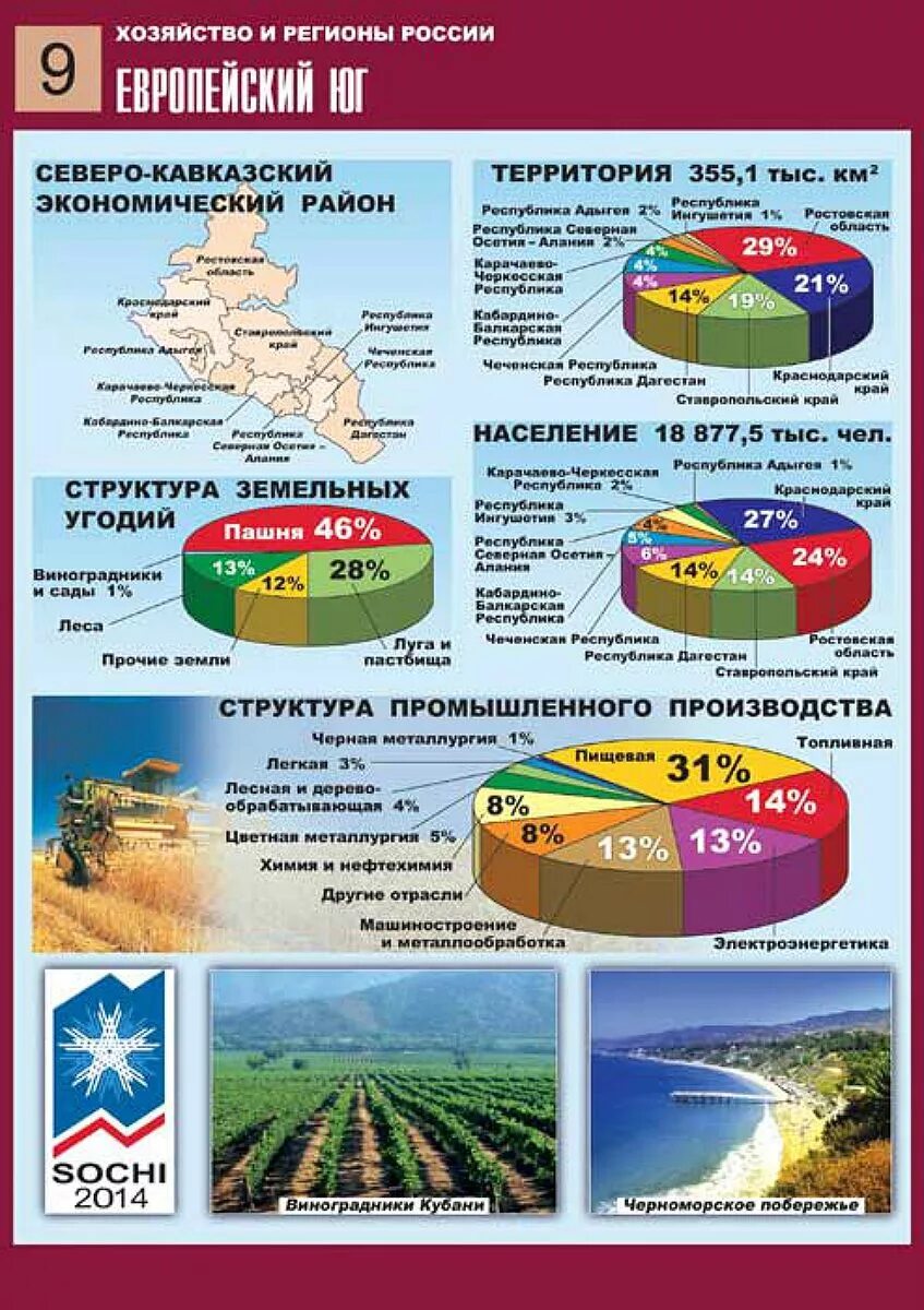 Диаграмма отраслевой структуры хозяйства европейского Юга России. Отраслевая структура европейского Юга. Хозяйство регионов России. Диаграмма отраслевой структуры хозяйства европейского Юга. Отрасли производства европейского юга