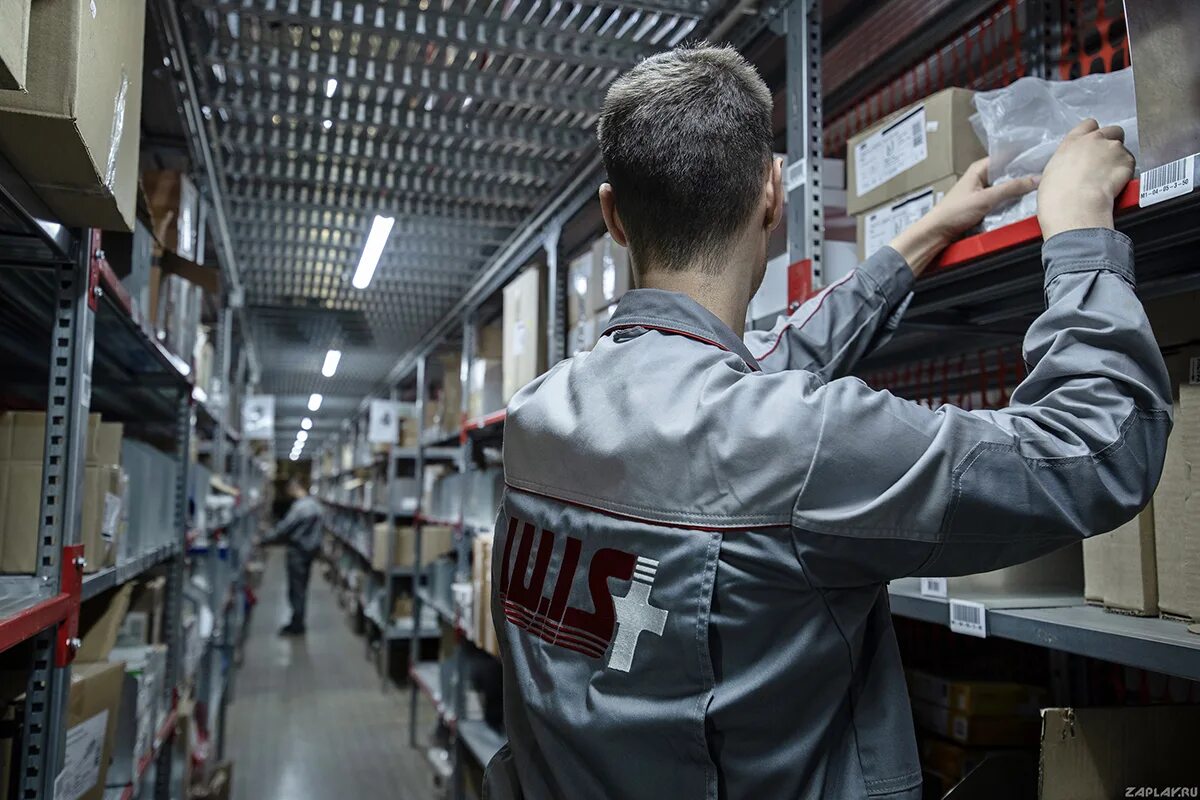 компания луис