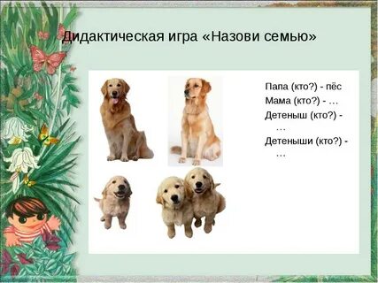 Назовите семейство