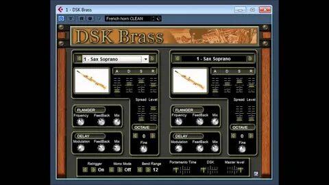 Dsk