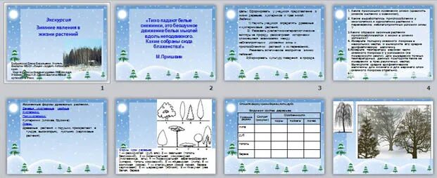 Экскурсия зимние явления в природе. Сезонные явления в жизни растений зимой. Зимние изменения в жизни растений. Зимние явления в жизни растений. Зима изменения в жизни растений биология