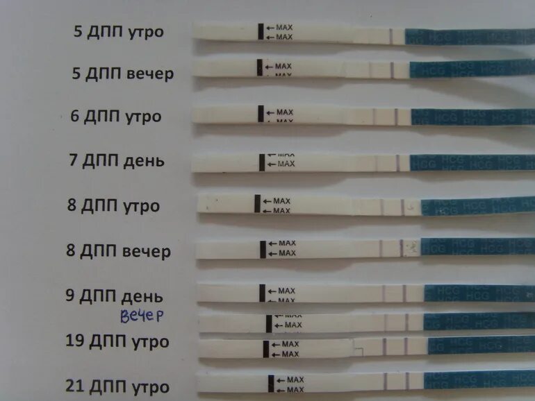 Ощущения удачного криопереноса. Тест на беременность после подсадки эмбрионов. Тест на беременность после эко на 5 ДПП. Тесты на беременность на 5 ДПП эмбрионов. Тесты на беременность по дням после подсадки.