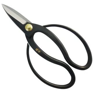 Scissor 18