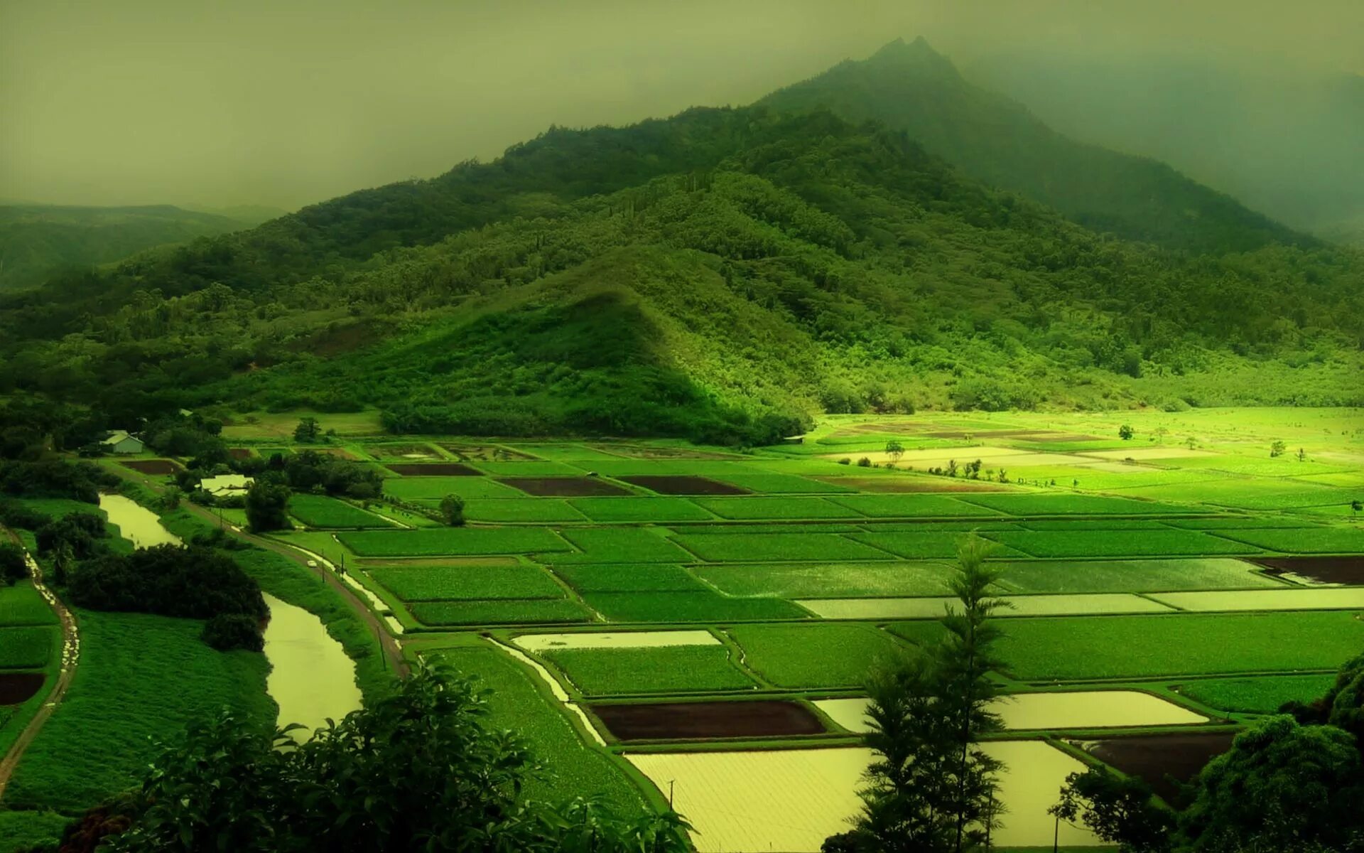 Picture land