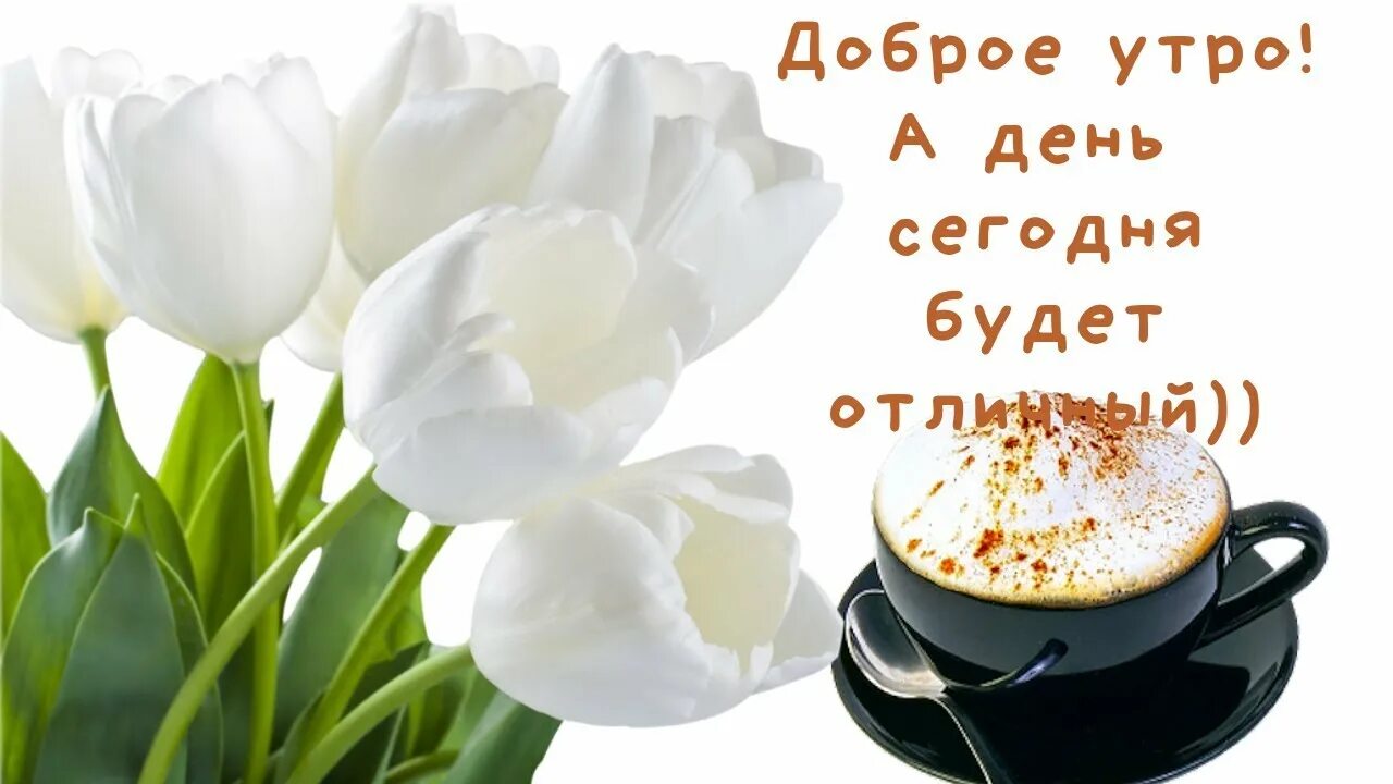 Сообщение доброе утро в ватсапе. Отк с добрым утром и хорошим днем. доброе утро от души. с добрым утречком от души. пожелания доброго утра и прекрасного дня.