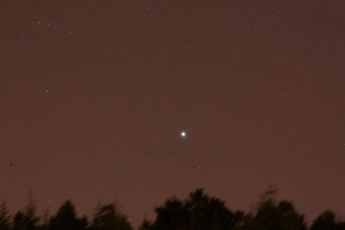 Полярная звезда и вега. Звезда бетельгейзе с земли. R136a1 и бетельгейзе. Звезды во вселенной. Самая первая звезда появляющаяся.