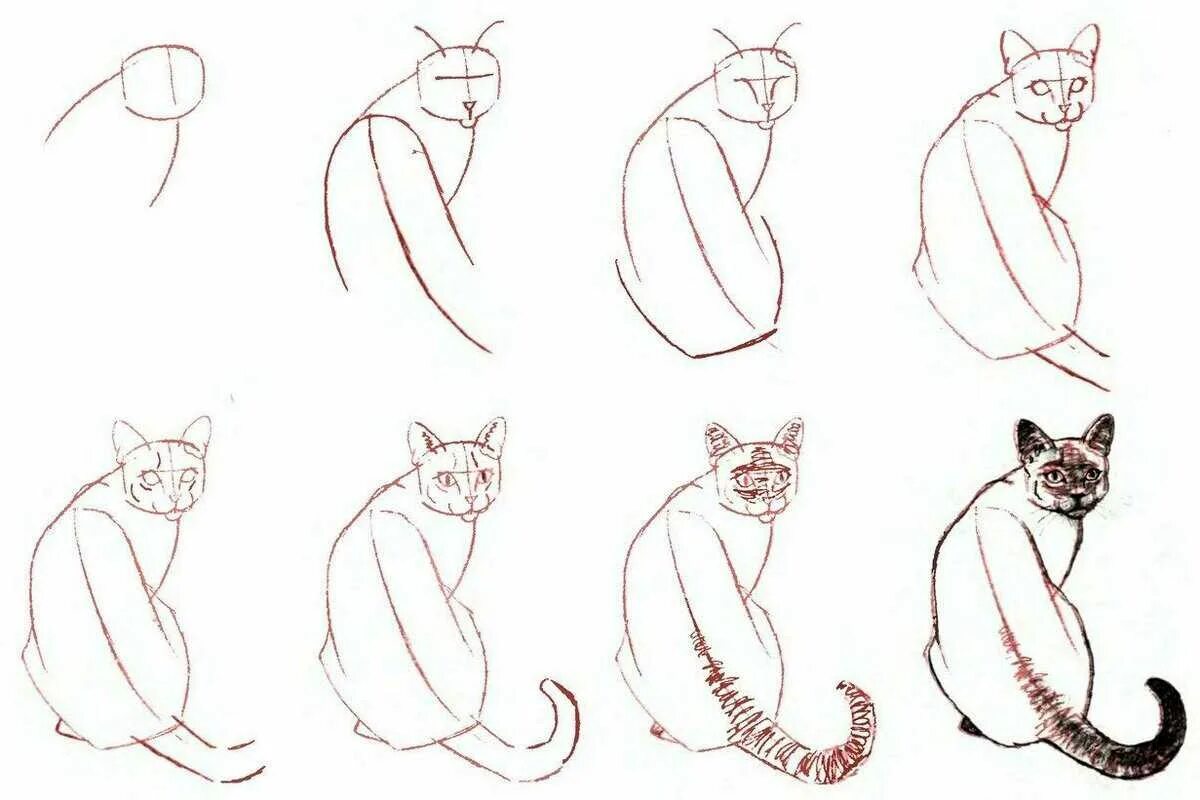 Как нарисовать катнапа. Кошка рисунок. Пошаговый рисунок кошки. Поэтапное рисование кошки. Схема рисования кошки.