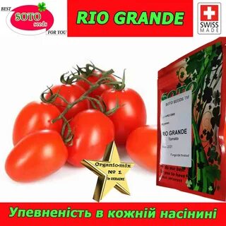 Рио гранде томат описание отзывы характеристика