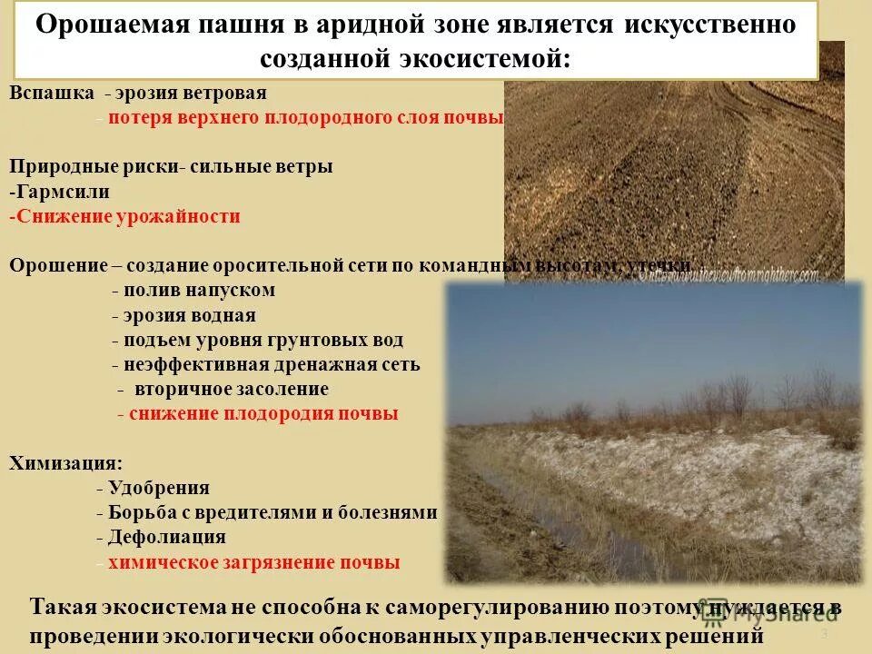 Зеленя значение