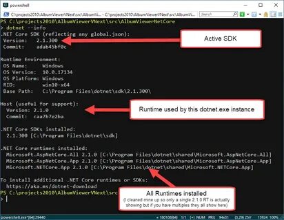 Net runtime installer