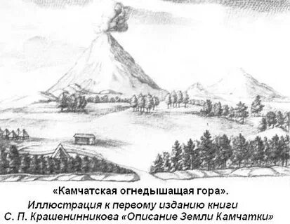 Исследование камчатки