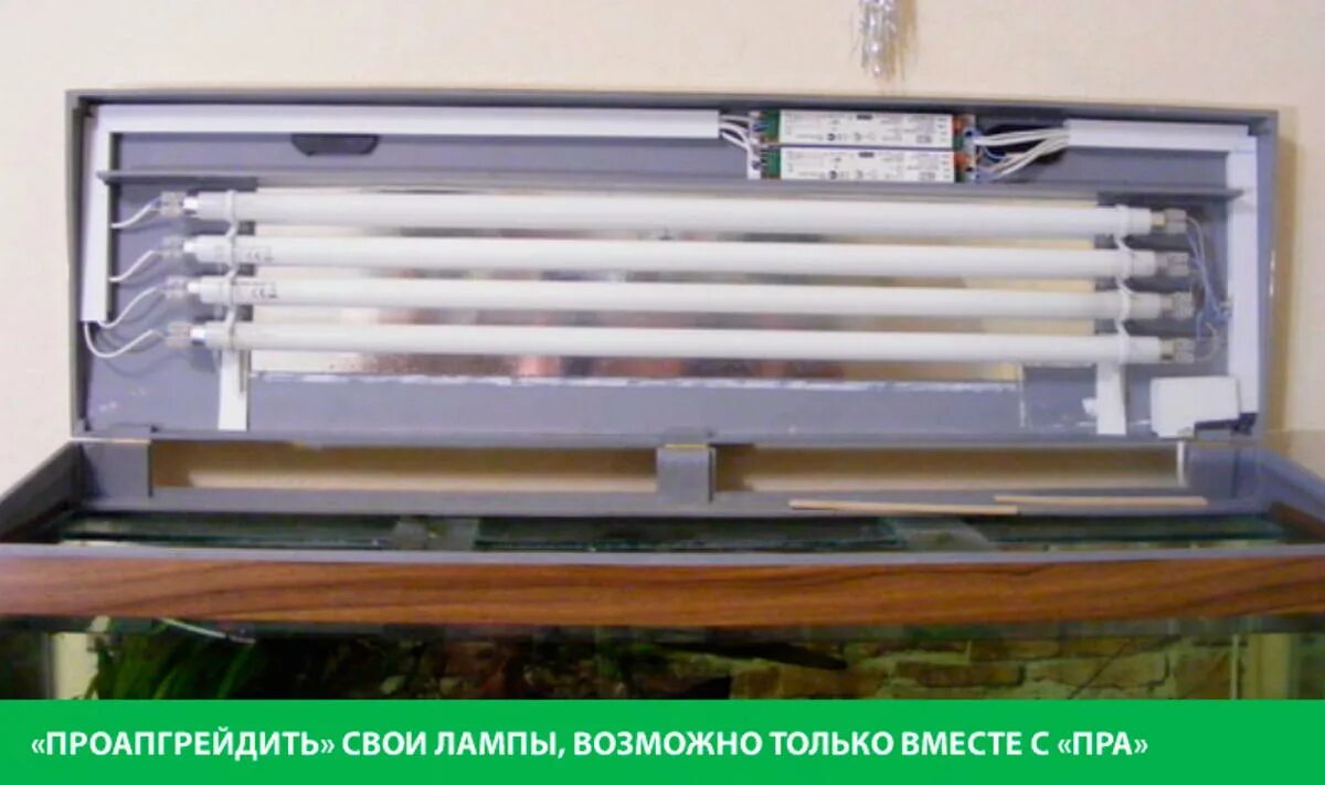 Крышка люминесцентную лампу. Светильник люминесцентный 16w 220-240v. Фиксатор в люминесцентный светильник. Osram лампы дневного света. Крышка люминесцентную лампу.