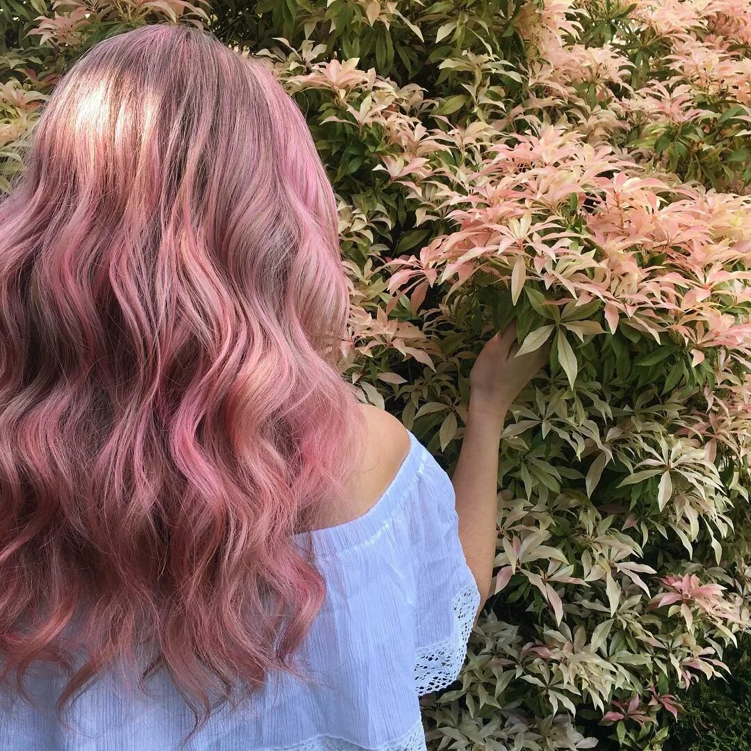 Розовое дерево волосы. Розовые волосы. Девушка с розовыми волосами со спины. Розовые волосы со спины.